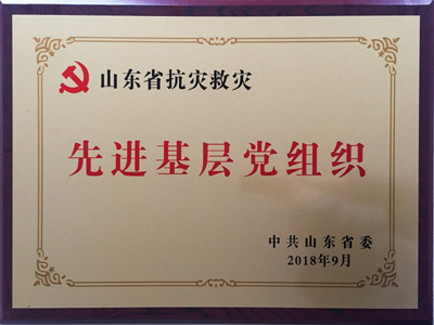 山東省抗災(zāi)救災(zāi)先進基層黨組織